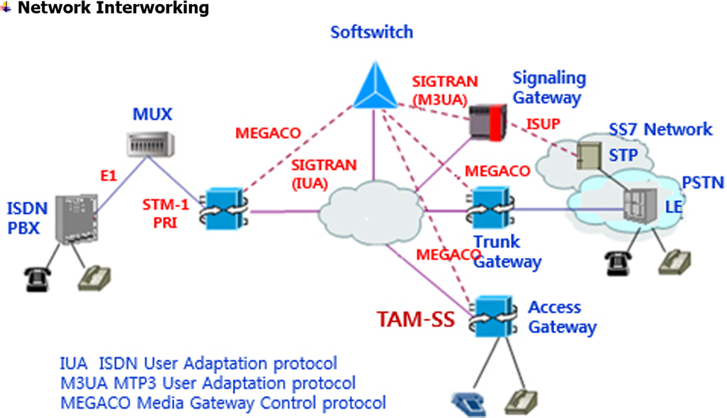 Network Diagram